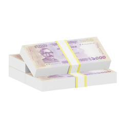 Stacks of Bangladeshi Taka bills represent wealth and prosperity.