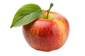 somewhat-ripe-apple-on-a-branch-with-leaves png
