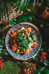 Vibrant combination of smoked salmon and fresh greens, beautifully presented on a textured plate among natural foliage and colorful accents, inviting a sense of healthy indulgence.