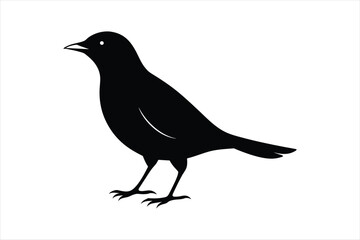 Fototapeta premium Thrush bird silhouette black vector art illustration.