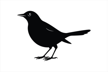  Thrush bird silhouette black vector art illustration.
