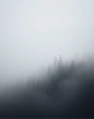 fog in the fog