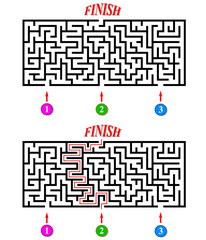 Labyrinth with three entrances. Find the right way and reach the exit of the maze. Mental educational game template with clue. Vector illustration