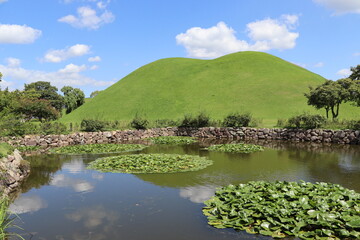 Lush green water lilies growing in a calm pond near a grassy mound of the king's tombs on a sunny day with blue sky and white clouds