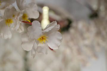 Minimalist Decor: Handcrafted white fabric flower on blurred bokeh background. Copy Space