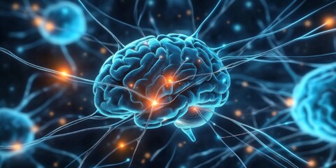 Understanding the role of neuronal communication in cognitive abilities.