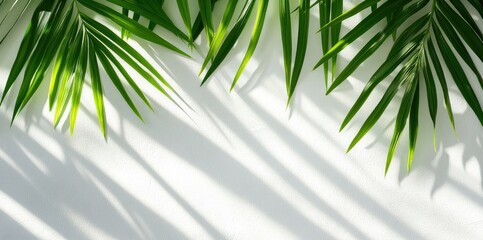Fototapeta premium Bamboo leaves cast intricate shadows on an off-white wall, revealing delicate patterns enhanced by sunlight, creating a serene and organic atmosphere.