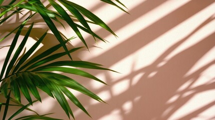 Bamboo leaves cast intricate shadows on an off-white wall, revealing delicate patterns enhanced by sunlight, creating a serene and organic atmosphere.