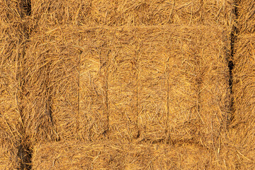 Beautiful horizontal texture of dry yellow and orange rectangular hay bales