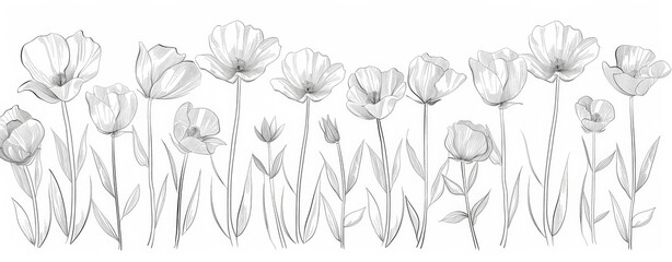 Black and white drawing of a field of flowers. The flowers are dotted and the drawing is very detailed