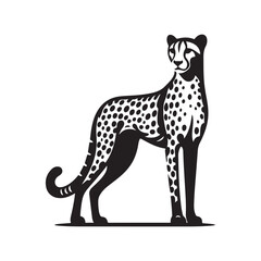 Fototapeta premium leopard on a white background