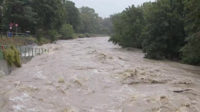 the turbulent flow of a river that overflowed 2