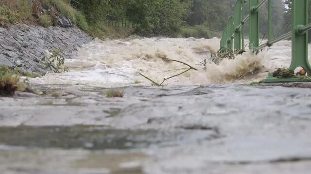 the river overflows during a flood, flooding trees