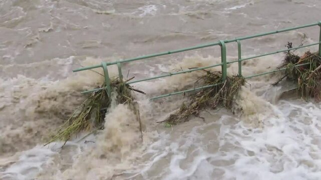 the turbulent flow of the river flooded the pedest