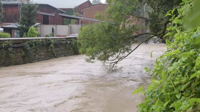 the turbulent flow of a river that overflowed its