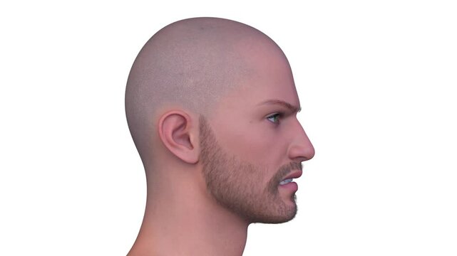 男性の顔アップ　3DCGレンダリング