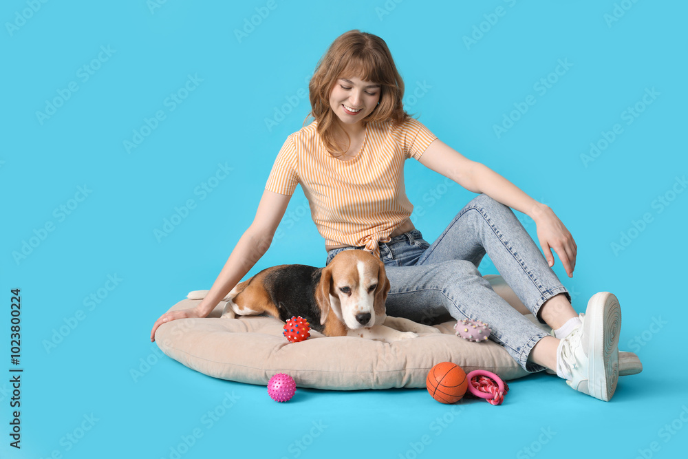 Wall mural Young woman with cute beagle dog and toys on pet bed against blue background