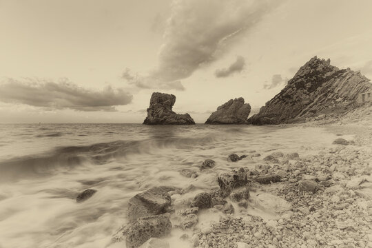 Riviera del Conero - Vintage