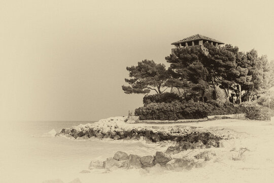 Riviera del Conero - Vintage