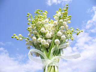 Bouquet of white flowers Lily of the valley with elegant bow on blue sunny sky with white clouds. Topics: beauty of nature, gift, card, love, friendship, symbol, occasion, blooming, spring, nature