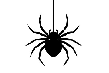 Vector isolated one single black spider handing on a web thread colorless black and white outline silhouette shadow shape