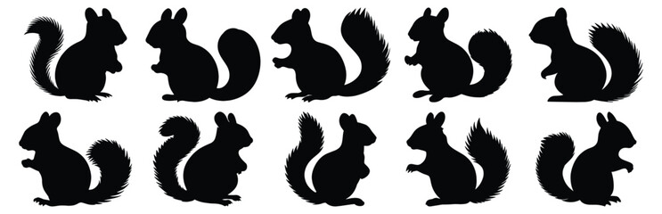 Squirrel silhouette set vector design big pack of animal illustration and icon