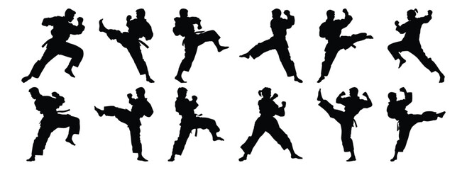 Fighter silhouettes set, warrior pack of vector silhouette design, isolated background
