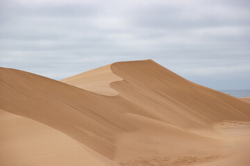 Sand dunes on the ocean coast