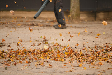 A man cleaning the park with a leaf blower