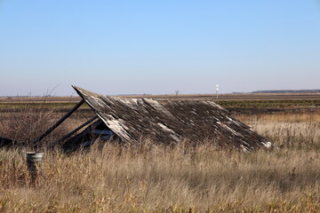 collapsed derelict farm shed tilted to one side alongside a field