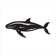 silhouette of a shark