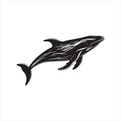 black whale,fish, dolphin, shark, animal, sea, vector, ocean, blue, cartoon, illustration, white, isolated, water, mammal, marine, fin, underwater, silhouette, nature, art, swimming, wildlife, black, 
