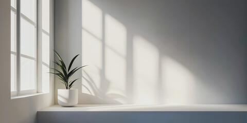 Sunlight streams through a window, casting soft shadows on a plant in a minimalist interior space