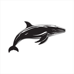 black whale,fish, dolphin, shark, animal, sea, vector, ocean, blue, cartoon, illustration, white, isolated, water, mammal, marine, fin, underwater, silhouette, nature, art, swimming, wildlife, black, 