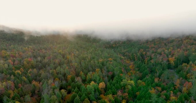 Aerial view of a colorful autumn forest covered in fall foliage, with vibrant reds, oranges, and yellows. Mist rises over the treetops as the morning sunlight illuminates the landscape.