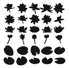 Big set of water lily, water lilies, silhouette of buds and plant foliage © Mar