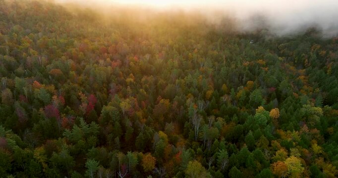 Aerial view of a colorful autumn forest covered in fall foliage, with vibrant reds, oranges, and yellows. Mist rises over the treetops as the morning sunlight illuminates the landscape.