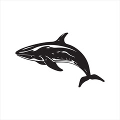 black whale,fish, dolphin, shark, animal, sea, vector, ocean, blue, cartoon, illustration, white, isolated, water, mammal, marine, fin, underwater, silhouette, nature, art, swimming, wildlife, black, 