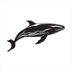 black whale,fish, dolphin, shark, animal, sea, vector, ocean, blue, cartoon, illustration, white, isolated, water, mammal, marine, fin, underwater, silhouette, nature, art, swimming, wildlife, black, 