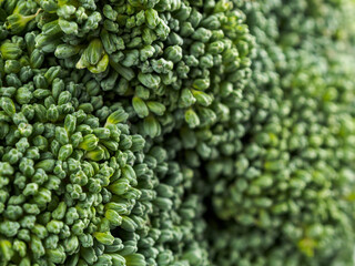 Close-up of fresh organic broccoli against a background of greenery symbolizing health and nutrition