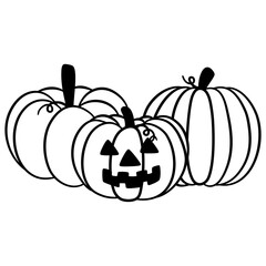 Jack o Lantern Pumpkins