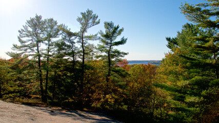 View from the top of the mountain overlook the Muskoka Lake.  Landscape with rocks, autumn leaf colour..