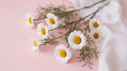 Obraz premium A serene arrangement of white daisies on a soft pink background, complemented by delicate greenery and flowing fabric.