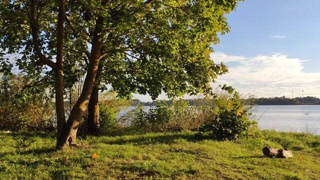 Scenic nature view on the coast of a river in a warm autumn day.