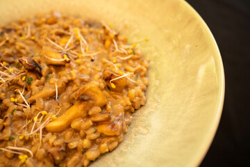 A rich, close-up view of savory mushroom ragu, served over pasta. Ideal for food blogs, menus, or recipes featuring hearty and earthy flavors. Perfect for highlighting vegan or vegetarian comfort food