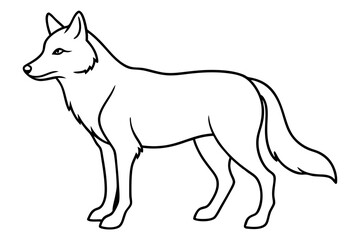 illustration of a wolf