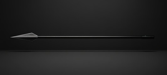 Fototapeta premium A minimal spearhead design with sharp, triangular lines
