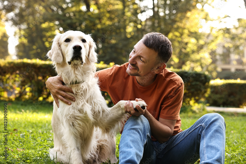 Wall mural Smiling man with cute Golden Retriever dog on spring day