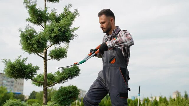 A gardener in overalls uses pruning shears to trim a decorative tree in a garden center