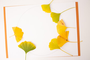 yellow ginkgo leaves are arranged symmetrically around the circle, with their stems pointing...